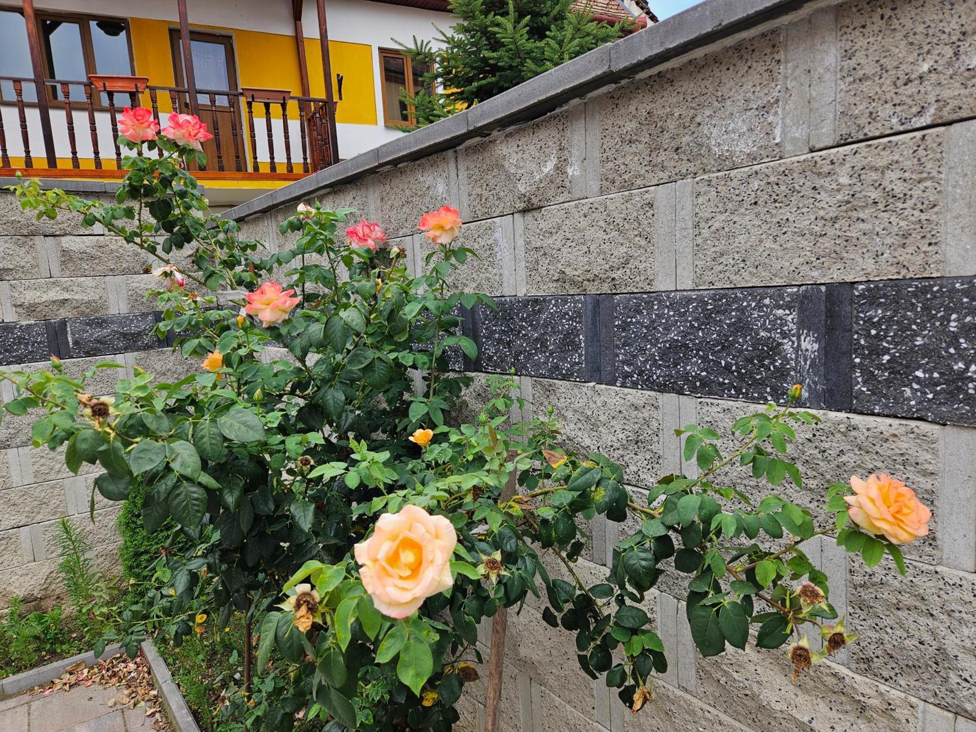 Aparthotel Casa Raduly Hermannstadt